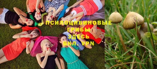 сатива Володарск