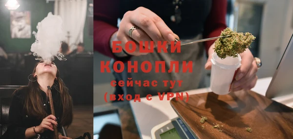 сатива Володарск