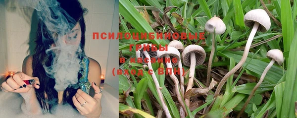 соль ск Волосово