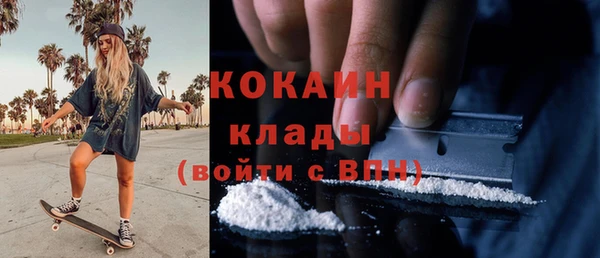соль ск Волосово