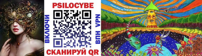 нарко площадка формула  Верхняя Пышма  Псилоцибиновые грибы Psilocybe  где купить наркотик 