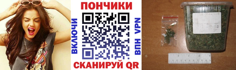 Бошки марихуана план  Верхняя Пышма 